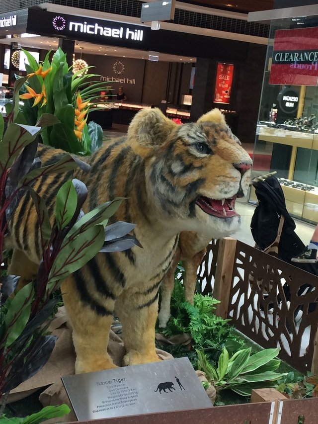 Jumanji in the Shopping Mall : Erina Fair Gosford Australia NSW — Steemit