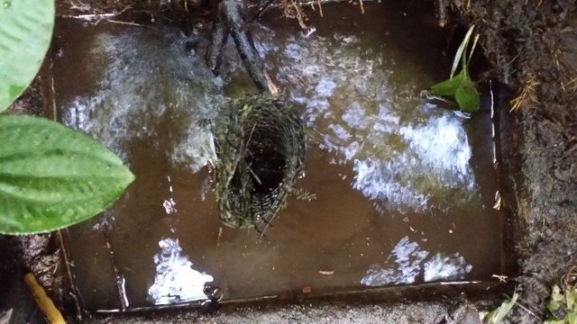 36 - almost cleared big items removed water tank nature reserve.jpg