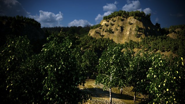 Corona National Forest2.jpg