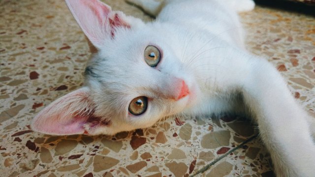 2018-05-12 04.00.42 1.jpg
