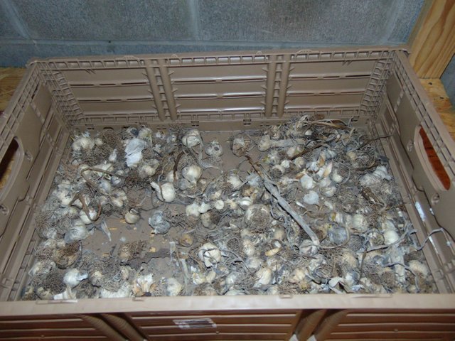 DSC00358.JPG
