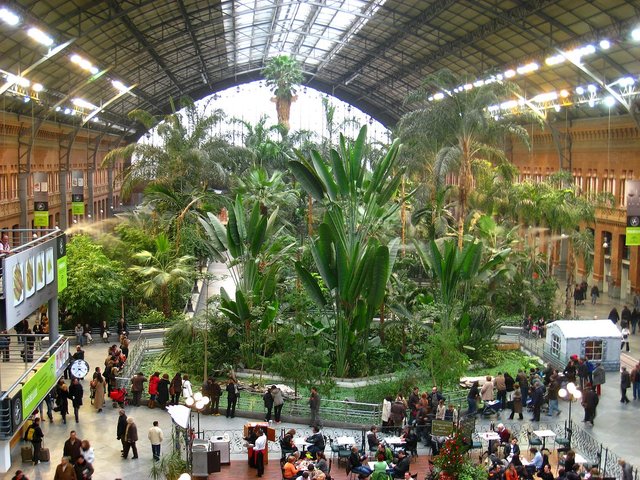 1200px-Invernadero_de_Atocha,_Madrid_-_view_2.JPG