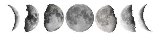 Phases-of-the-moon (1).png
