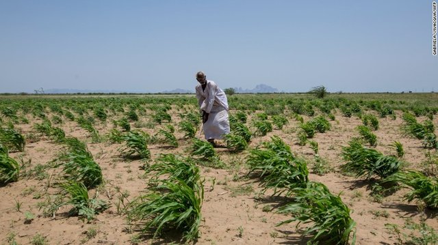 161130164704-sudan-farmer-exlarge-169.jpg