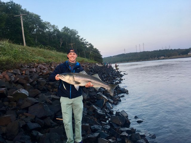 Welcome to the Cape Cod Canal! The Power of the SP Minnow. — Steemit