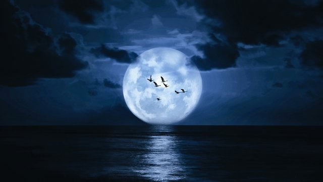 moon-sea-clouds-wallpaper-1920x1080.jpg