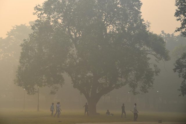 23479_IND-171020-INDIA-SMOG-AFP_1512534299070.jpg