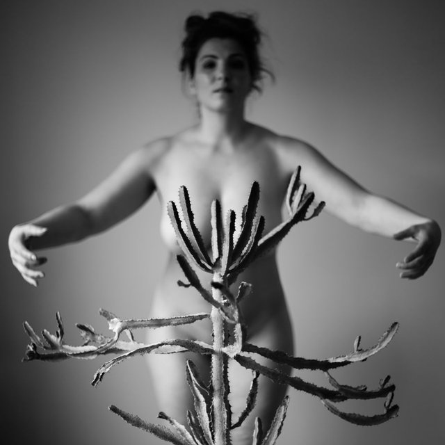 photoart-cactus-nude-astridsusannaschulz.jpg