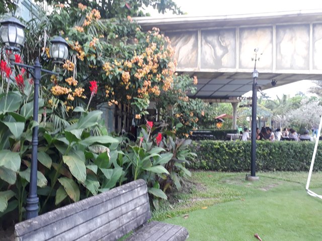 20171025_164543.jpg
