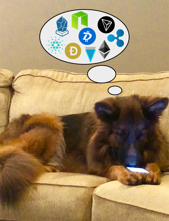 crypto_dog.png