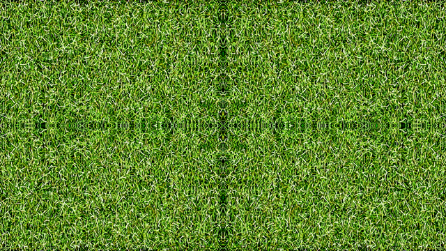 grass mandala2.png