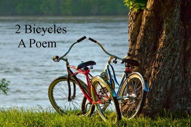 2 Bicycles Poem.jpg