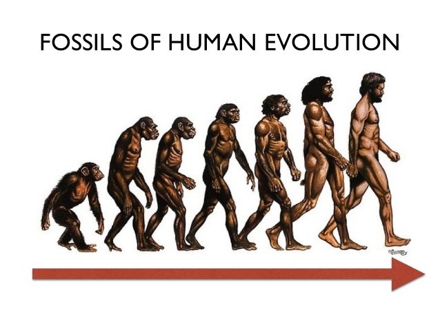 evolution-of-man-5-638.jpg