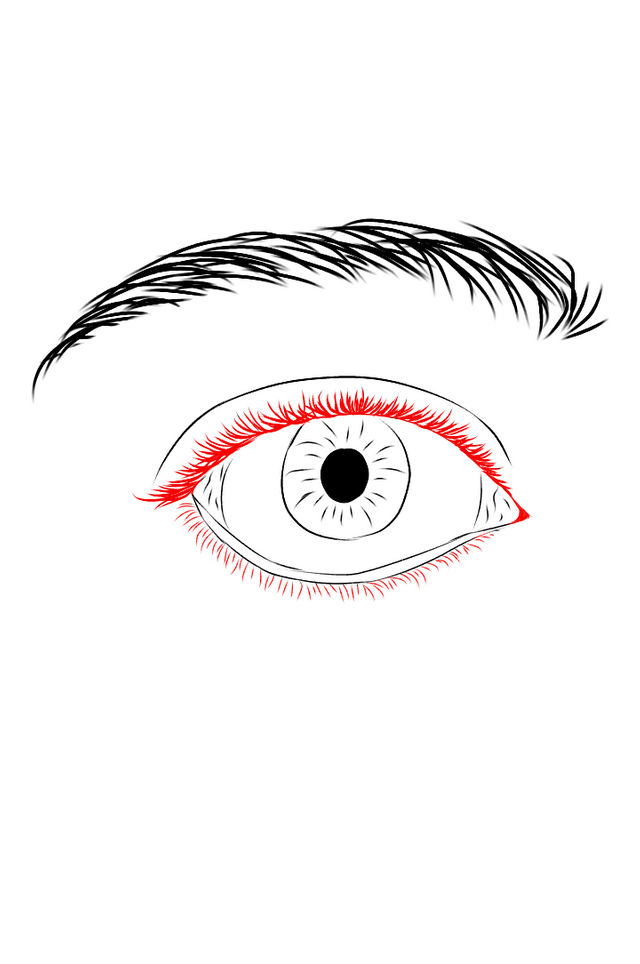 Eye tutorial-1.png