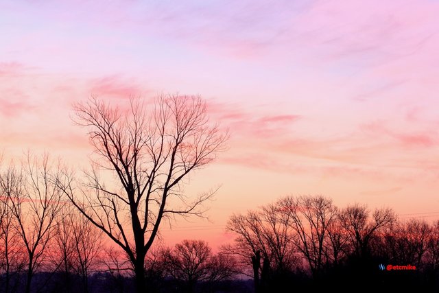 pink sunrise dawn SR15-01.JPG
