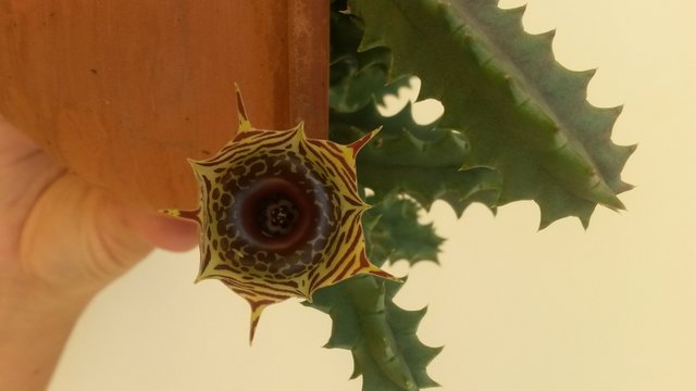 20161120_104328.jpg