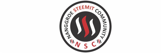 logo NSC White.png