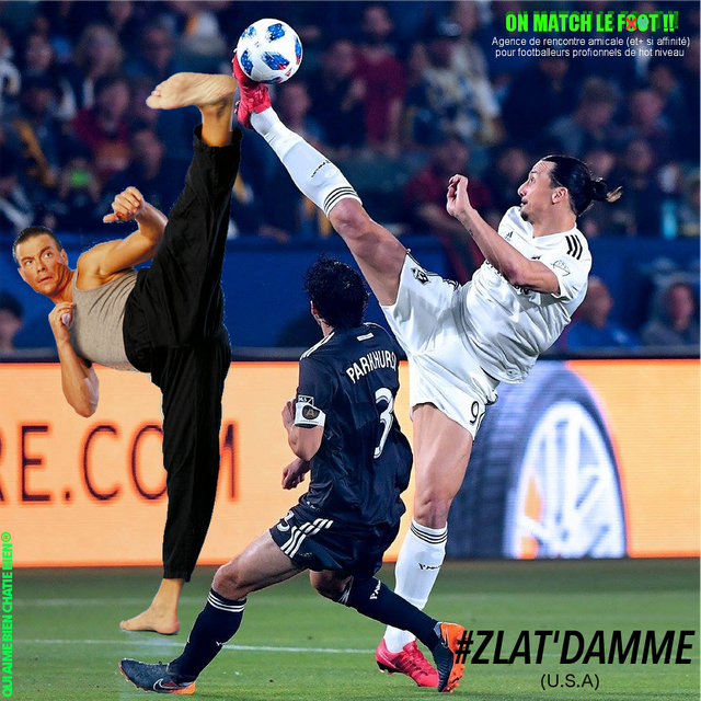 ZlatDamme11 copie.png