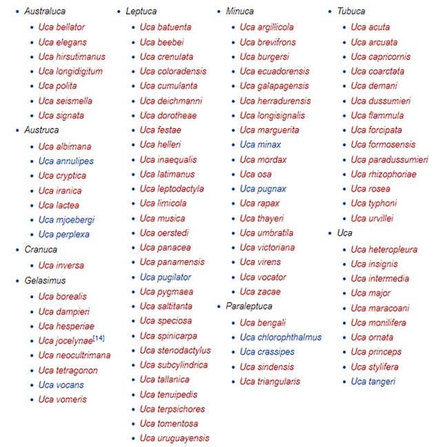 Screenshot (9).jpg
