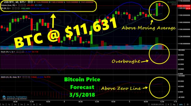 BTCforecast03052018.jpg