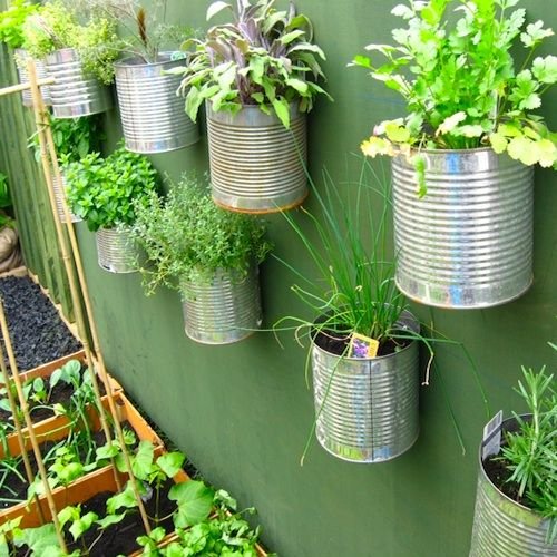 urban-herb-garden-in-tins.jpg