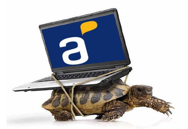 tortuga-antel.jpg