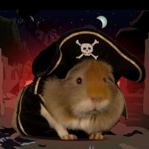 GuineaPirate.jpg