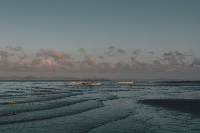 DSC_9597.jpg