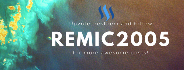 Remic2005 (1).png