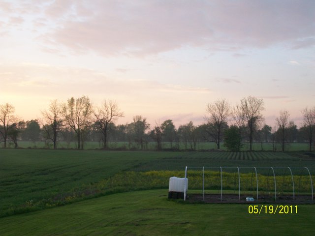 Farm_summer20110519_355.JPG