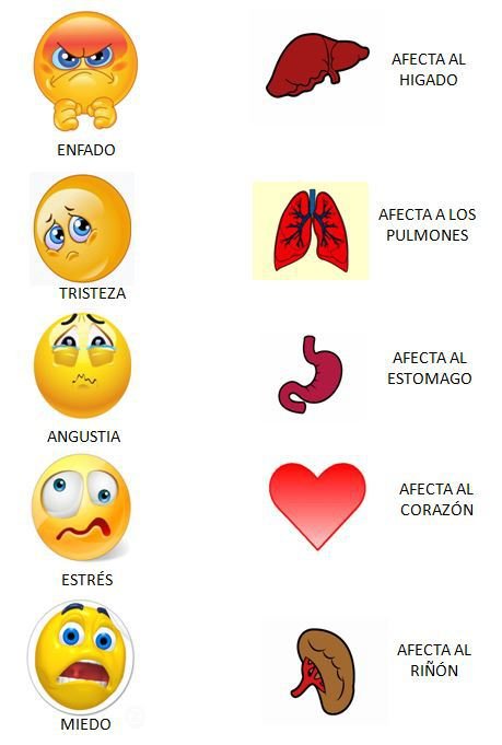 emociones-y-organos-web.jpg