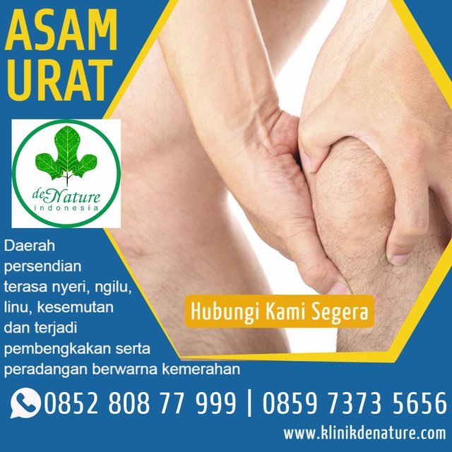 obat asam urat herbal.jpeg