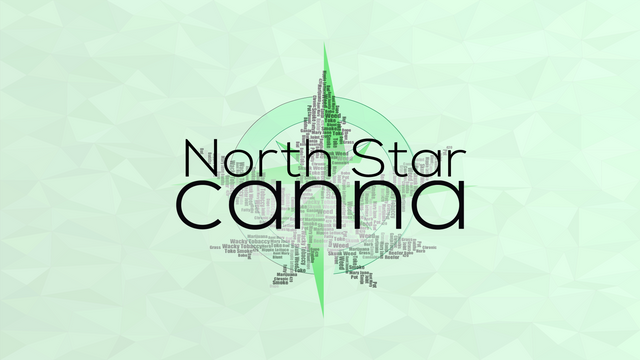 North Star Canna (16x9).png
