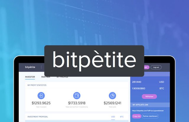 bitpetite-696x449.jpg