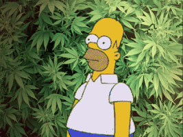 IMG_3690.GIF