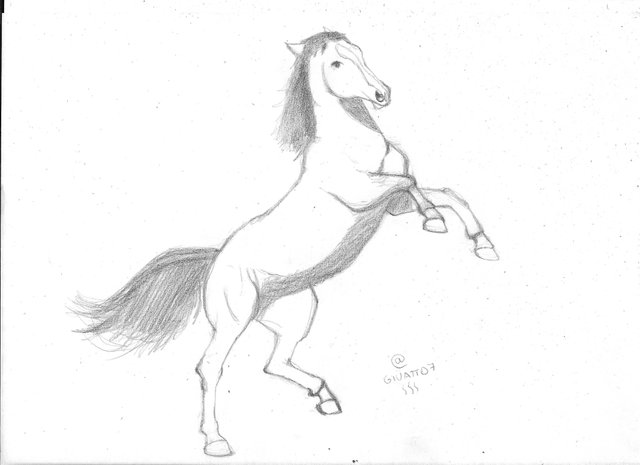 horse2.jpg