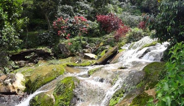 Air Terjun Mengaya12_1.jpg