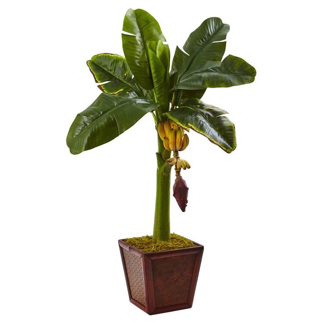 Banana-tree.jpg