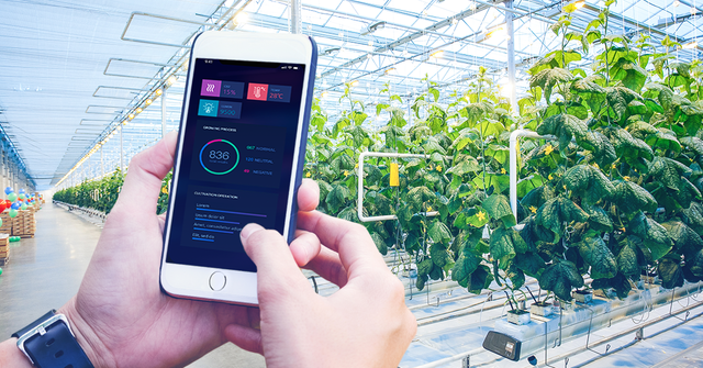 blockchain&farm_2 (1).png