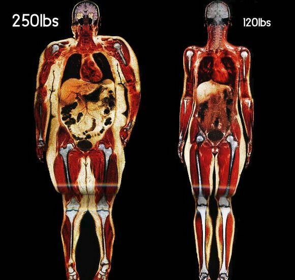 250lbs-Vs-120-lbs.jpg