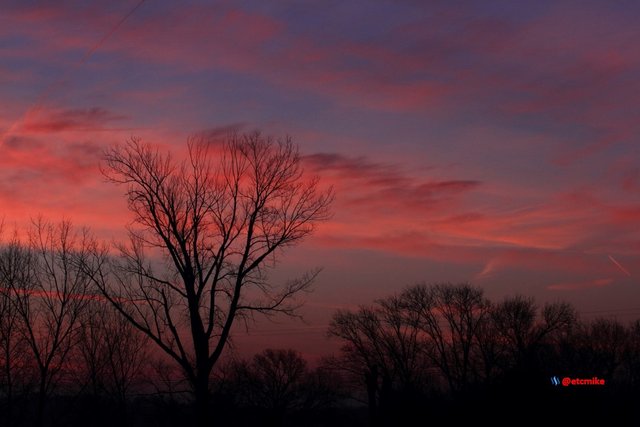 pink sunrise dawn SR15-12.JPG