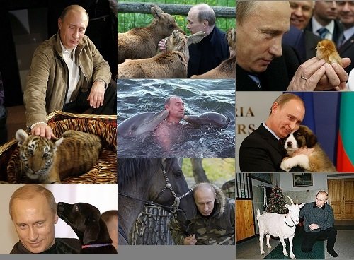 Putina-and-animals.jpg