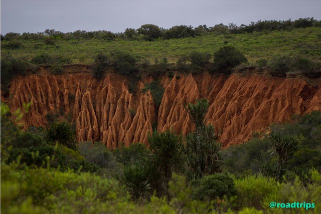 Landscape-of-Addo-NP.jpg