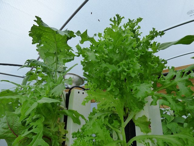 P1020329.jpg