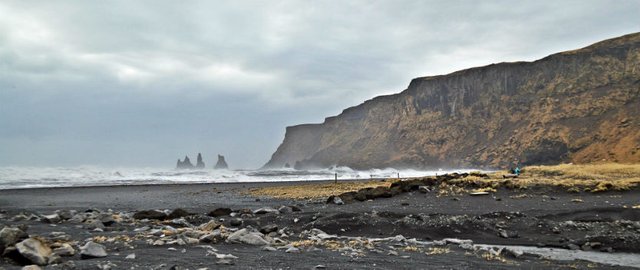 black-sand-beach-vik-iceland-eileen-cotter-wright.jpg