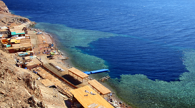 freedive-dahab-1.png