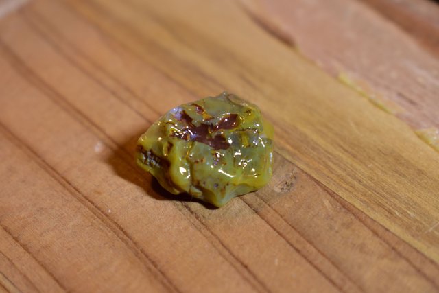 DSC_0309.JPG