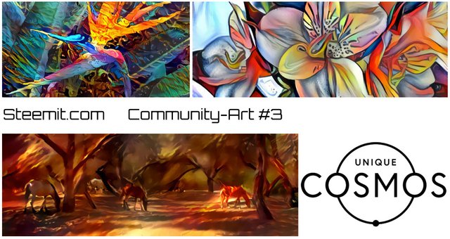 collage.jpg