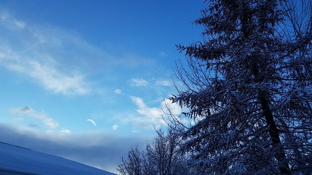 20180126_084747_001.jpg