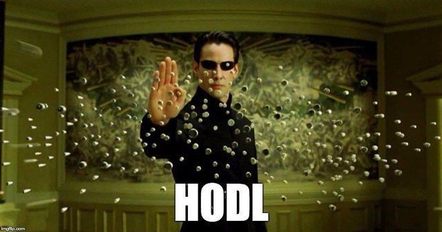 HODL.jpg